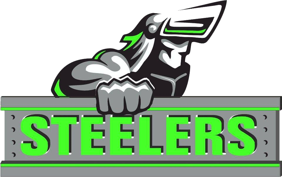 Steelers Bird Mascot Logo PNG Image