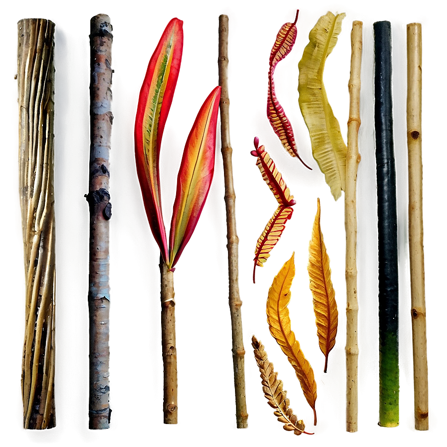 Sticks And Leaves Png Sqk PNG Image