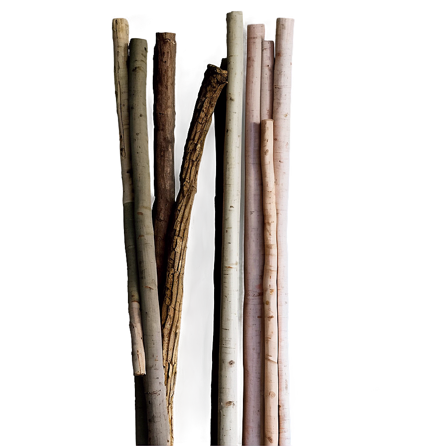 Sticks In Bundle Png 06132024 PNG Image