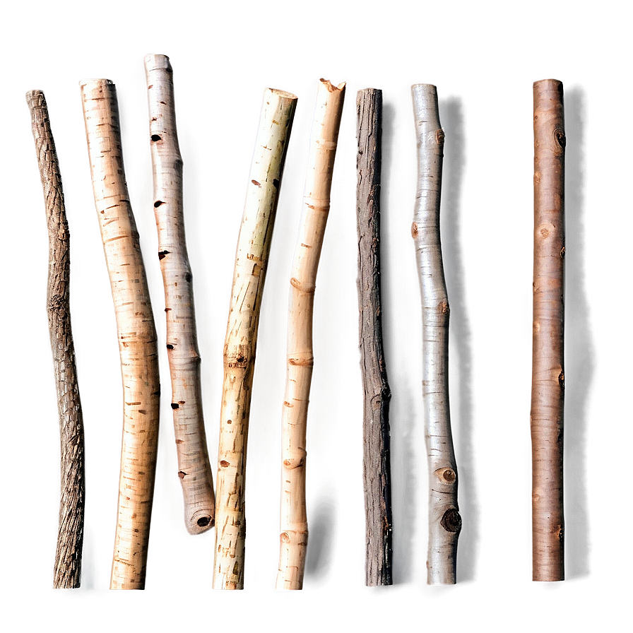 Sticks In Nature Png Mho PNG Image