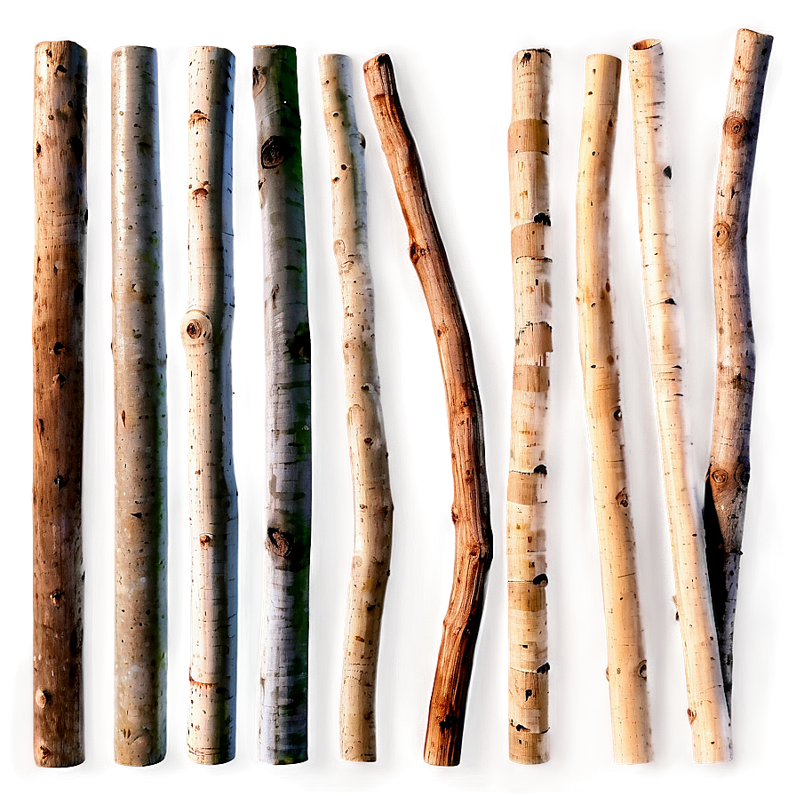 Sticks Texture Png 06132024 PNG Image