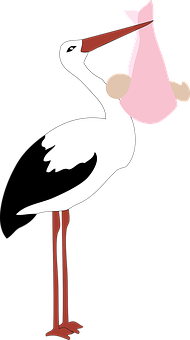 Stork Delivering Baby Illustration PNG Image