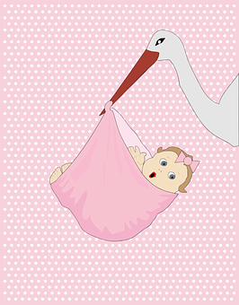 Stork Delivering Baby Illustration PNG Image