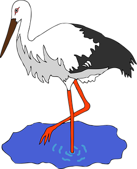 Stork Standingin Water Illustration PNG Image