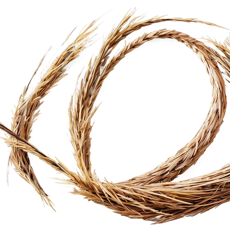 Straw-like Dry Grass Png Loj PNG Image