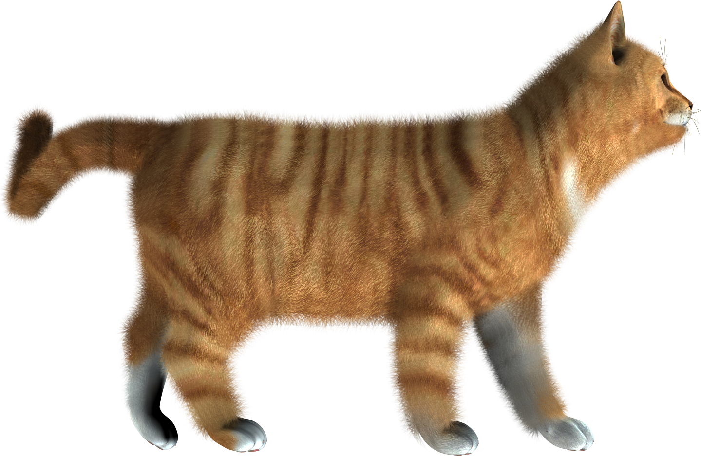 Striped Orange Kitten Walking PNG Image