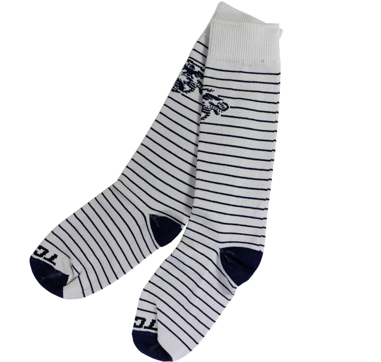 Striped Sockswith Floral Pattern PNG Image