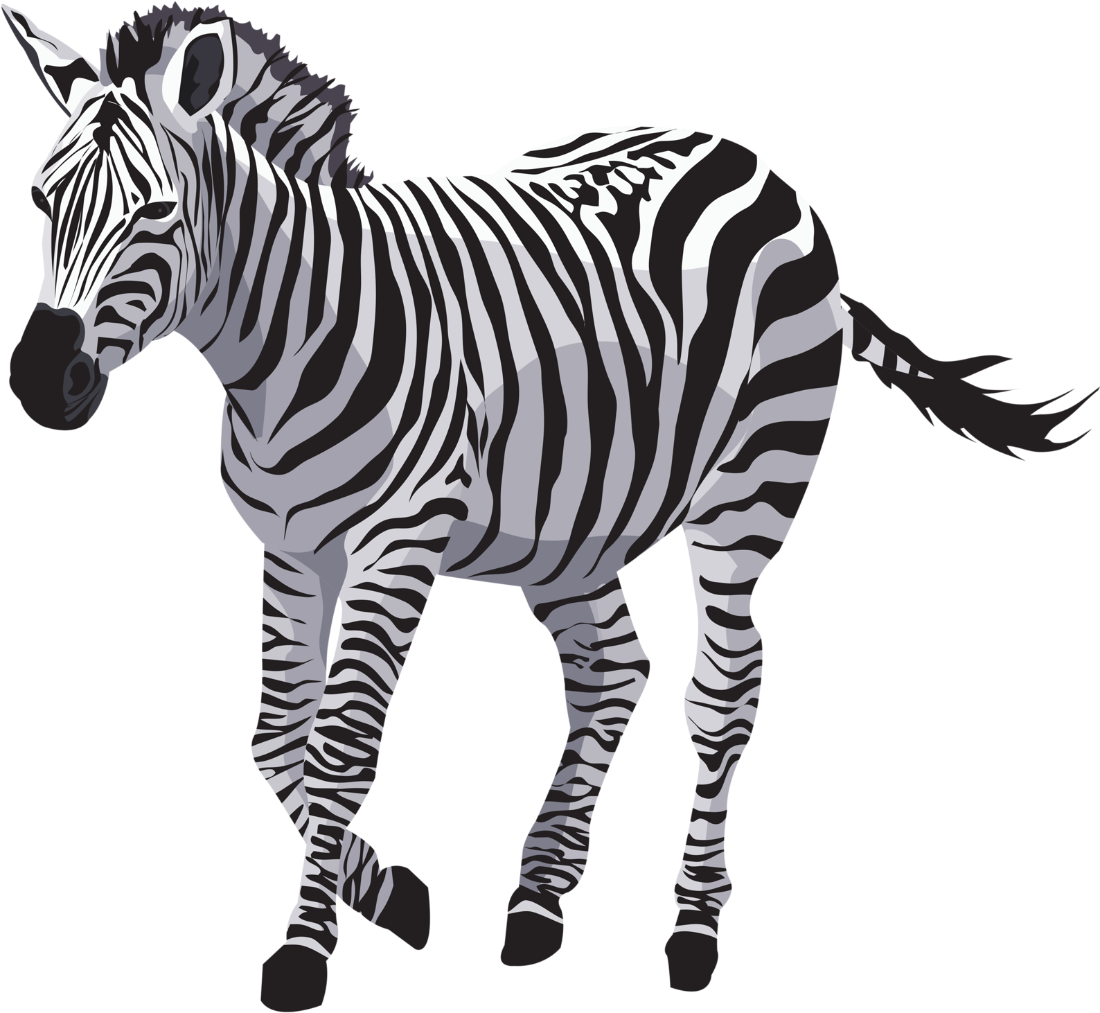 Striped Zebra Illustration PNG Image