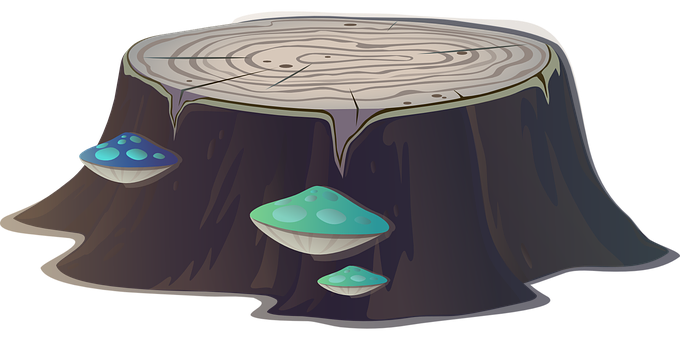 Stump_with_ Mushrooms_ Illustration PNG Image