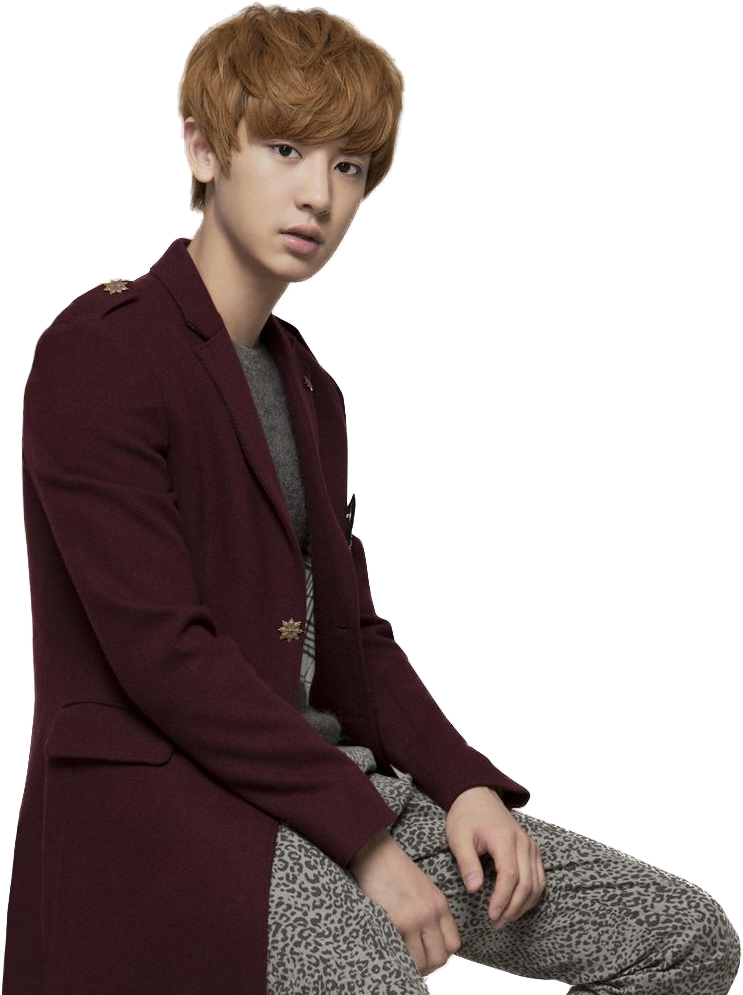 Stylish_ Maroon_ Blazer_and_ Leopard_ Pants PNG Image