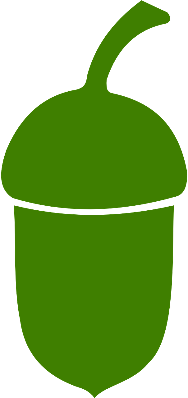 Stylized Acorn Icon PNG Image