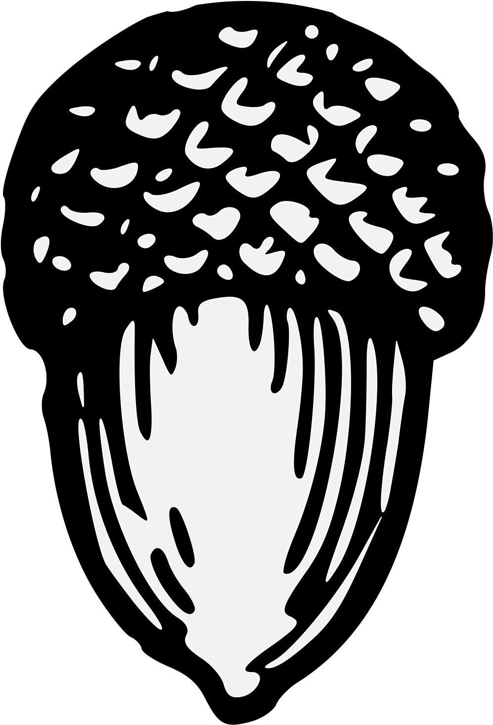 Stylized Acorn Illustration PNG Image