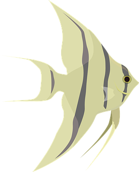 Stylized Angelfish Illustration PNG Image