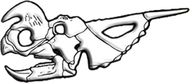 Stylized Animal Skull Drawing PNG Image