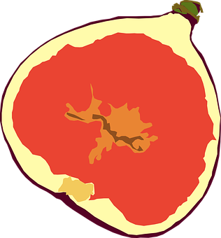 Stylized Apple Cross Section PNG Image