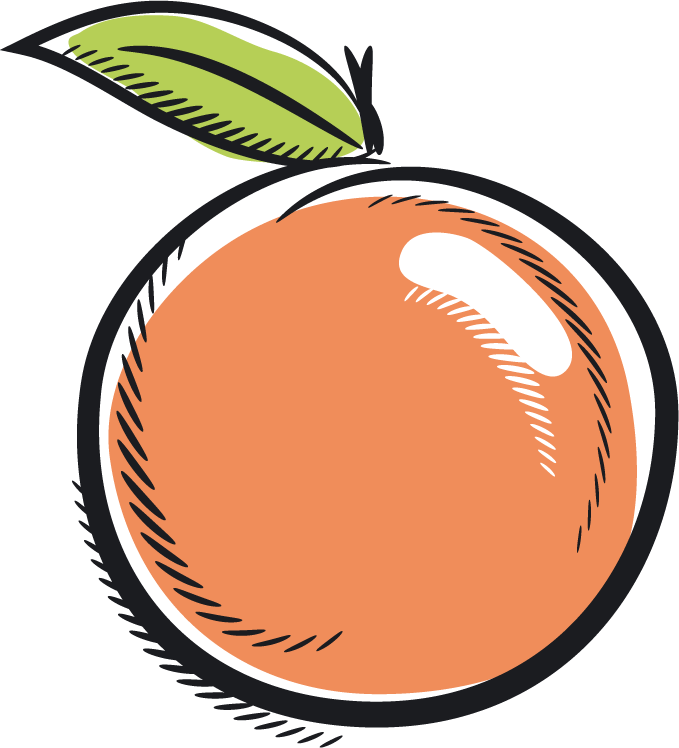 Stylized Apricot Illustration PNG Image