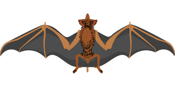 Stylized Bat Illustration PNG Image