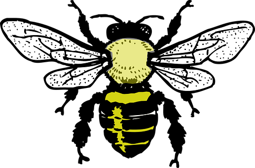 Stylized Bee Illustration PNG Image