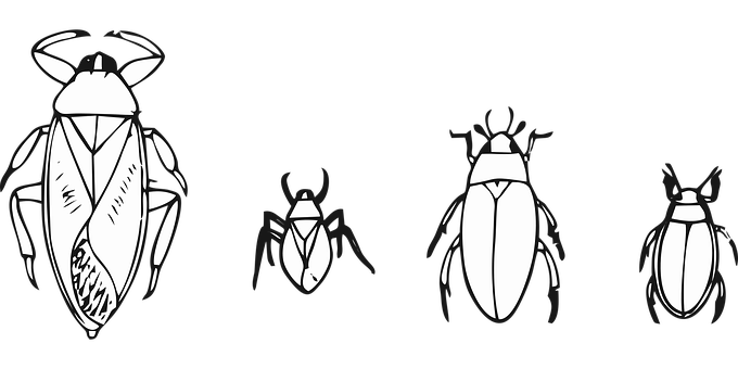 Stylized Beetle Illustrations Black Background PNG Image