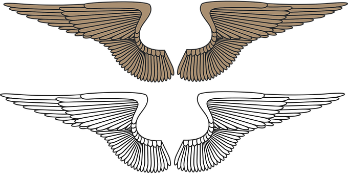 Stylized Bird Wings Graphic PNG Image