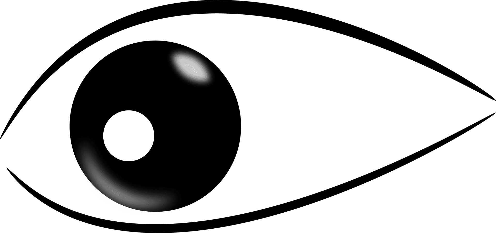 Stylized Blackand White Eye Clipart PNG Image