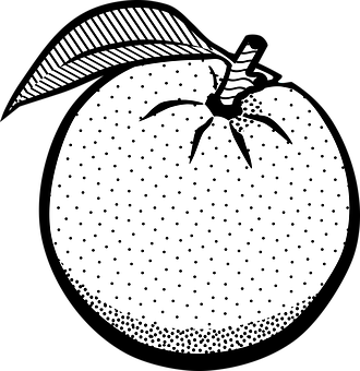 Stylized Blackand White Orange Illustration PNG Image