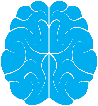 Stylized Blue Brain Outline PNG Image