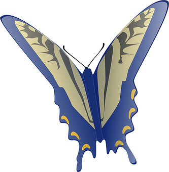 Stylized Blue Butterfly Graphic PNG Image