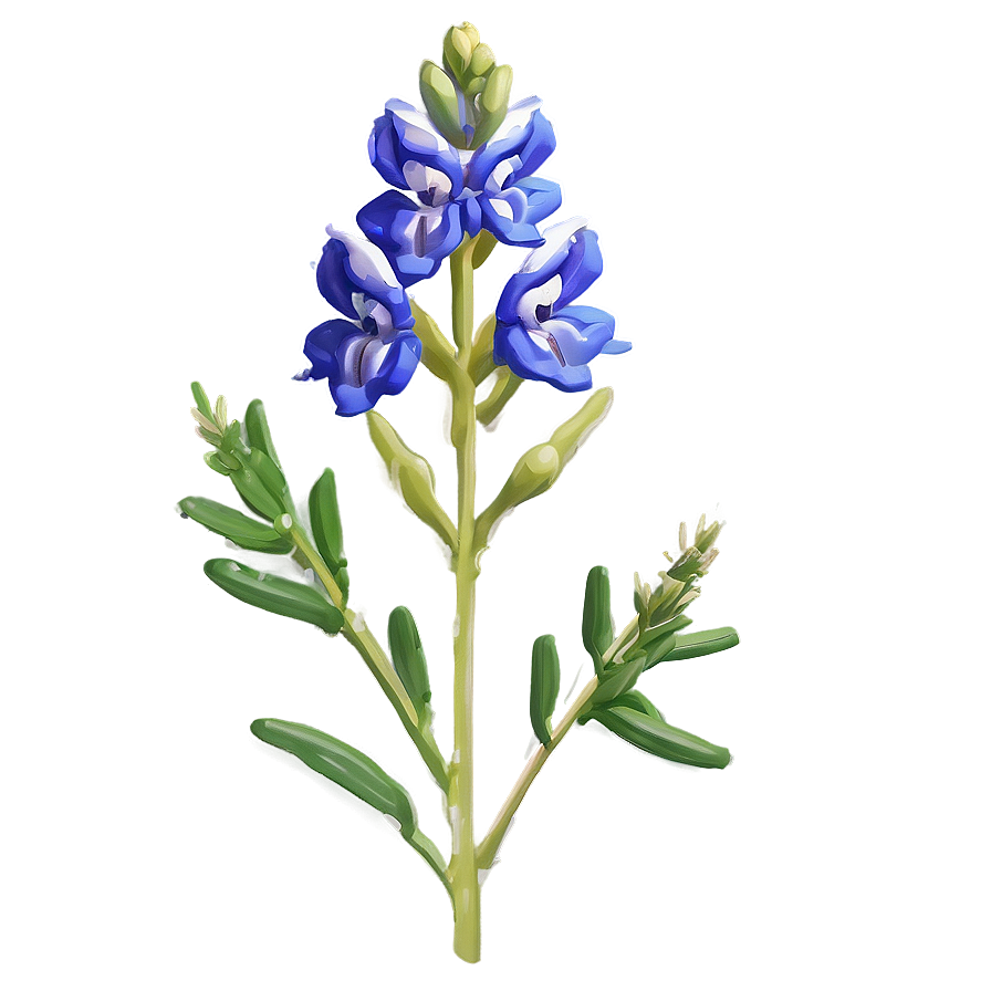 Stylized Bluebonnet Portrait Png Fyu43 PNG Image