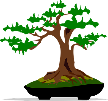 Stylized Bonsai Tree Graphic PNG Image