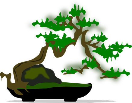 Stylized Bonsai Tree Illustration PNG Image