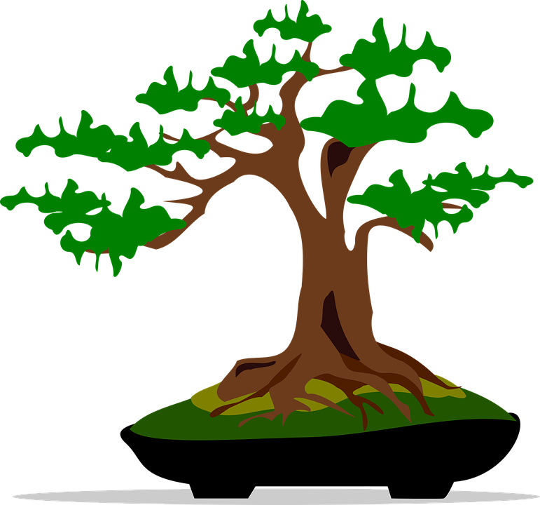 Stylized Bonsai Tree Illustration PNG Image