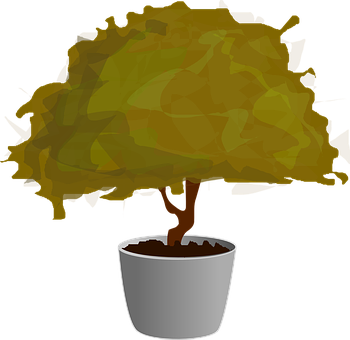 Stylized Bonsai Tree Illustration PNG Image