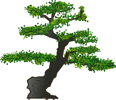 Stylized Bonsai Tree Illustration PNG Image