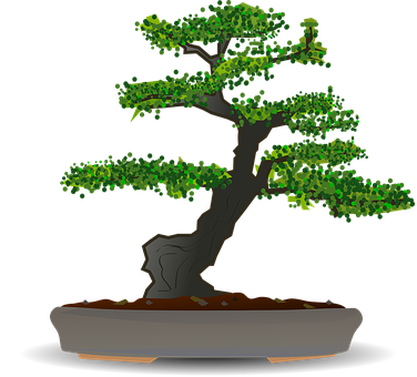 Stylized Bonsai Tree Illustration PNG Image