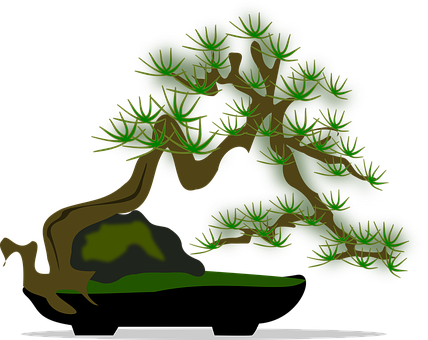 Stylized Bonsai Tree Vector PNG Image