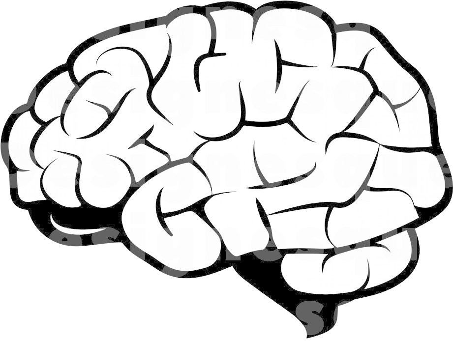 Stylized Brain Clipart PNG Image