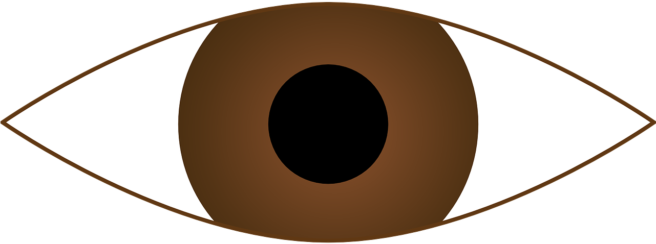 Stylized Brown Eye Clipart PNG Image