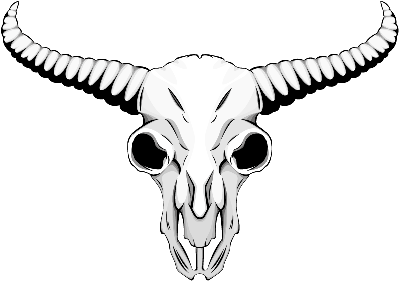 Stylized Bull Skull Illustration PNG Image