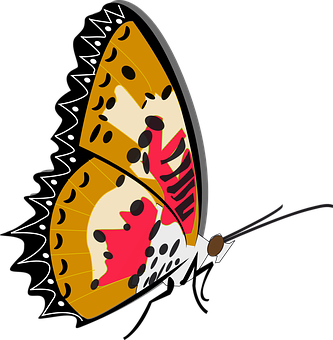 Stylized Butterfly Illustration PNG Image