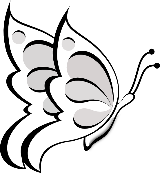 Stylized Butterfly Outline PNG Image