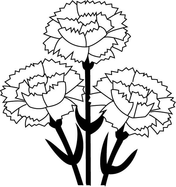 Stylized Carnation Trio PNG Image