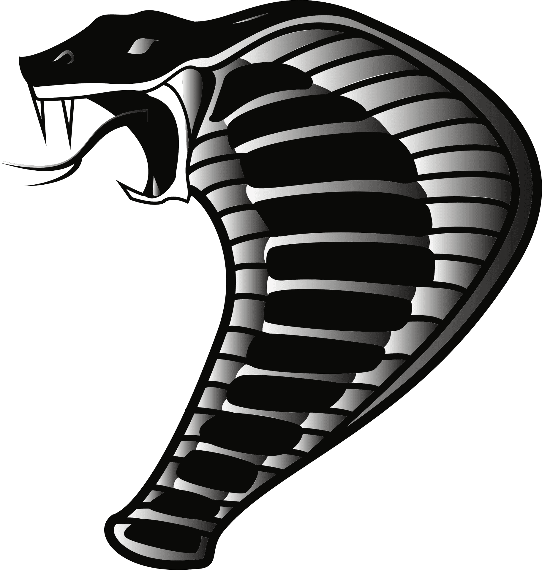 Stylized Cobra Illustration PNG Image