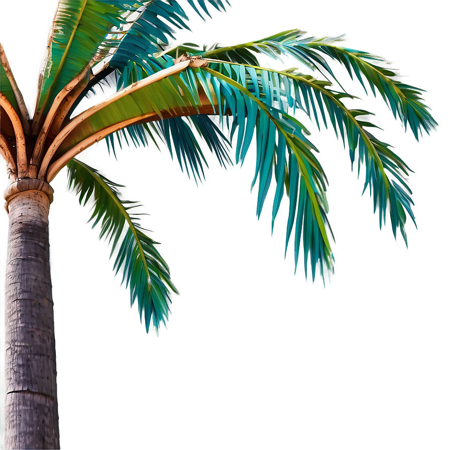 Stylized Coconut Tree Png 7 PNG Image