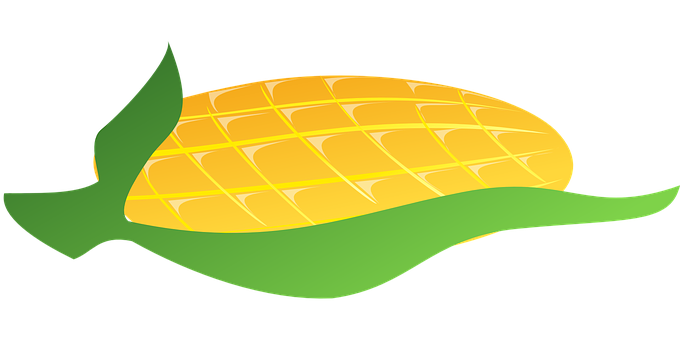 Stylized Corn Cob Illustration PNG Image