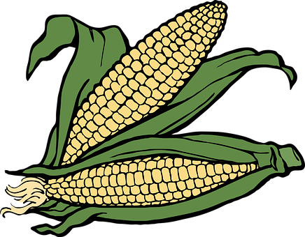 Stylized Corn Illustration PNG Image