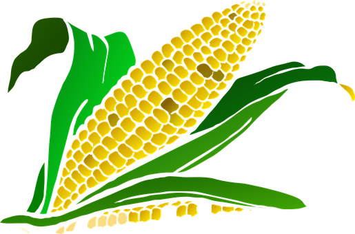 Stylized Corn Illustration PNG Image