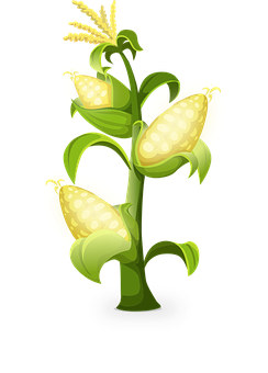 Stylized Corn Plant Illustration PNG Image