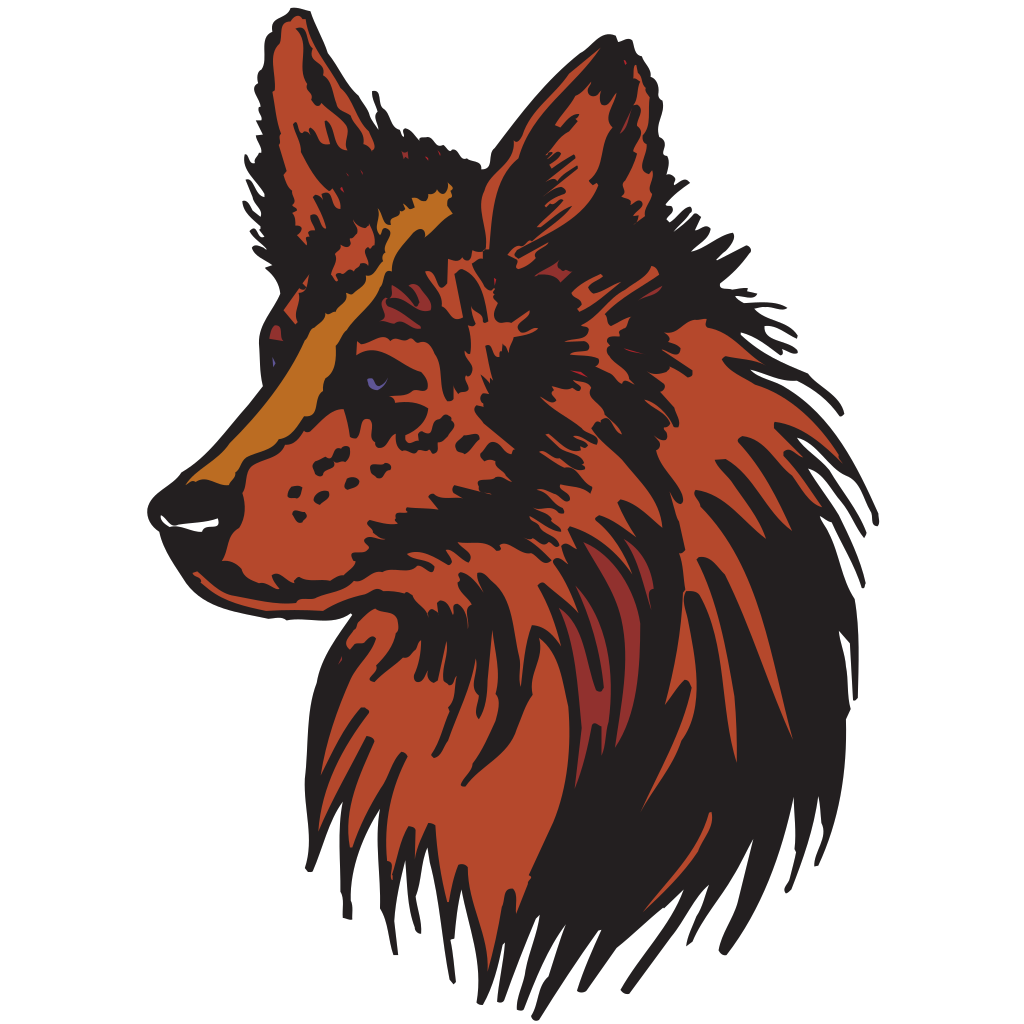 Stylized Coyote Portrait PNG Image