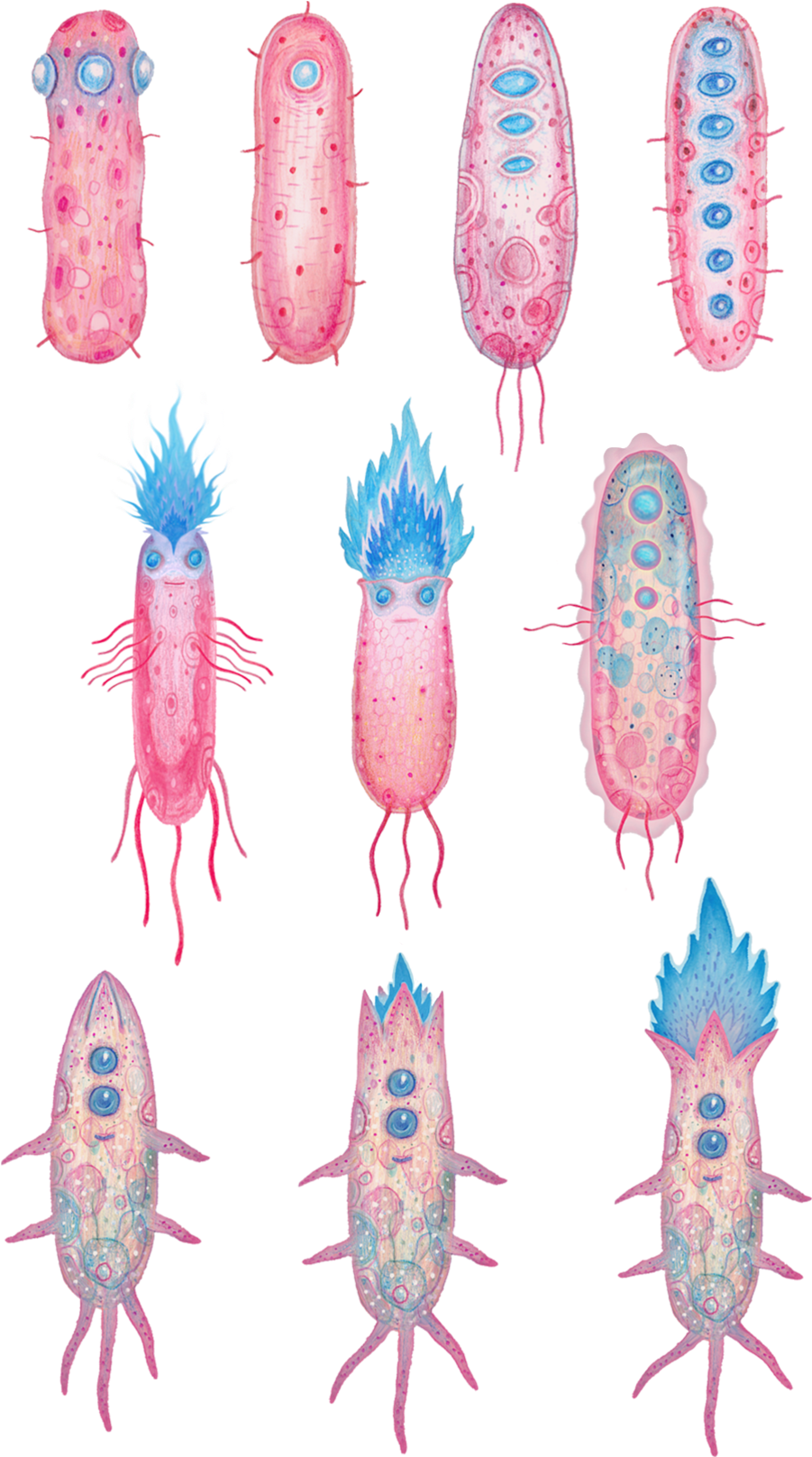 Stylized Crayfish Illustrations PNG Image